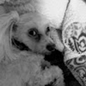 Meet your Posher, Candy